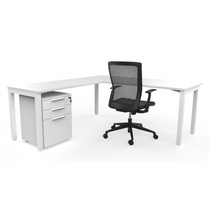 Flex Executive Workstation 60/48 Rentals Toronto Executive Furniture